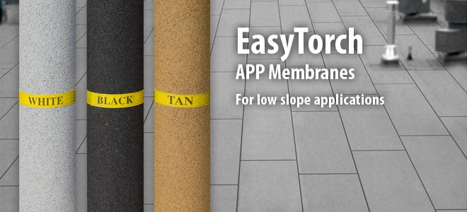 EasyTorch™ APP